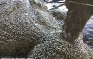 CONCRETO BOMBEADO E PISO POLIDO PARA TODO O RIO DE JANEIRO